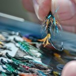 The Telegram – The salmon fly has captivated anglers and tyers for centuries. — Photo by Paul Smith Special to The Telegram